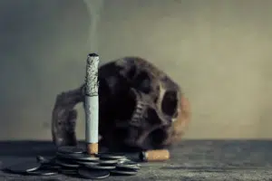 Cigarette Smoke: A Greater Environmental Threat Than Plastic
