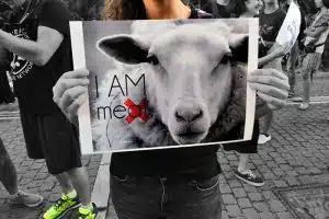 animal rights law