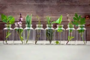 Bottle of essential oil with herbs holy basil flower, basil flow