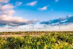 windfarm