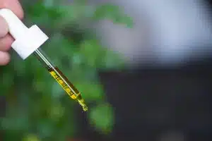 CBD oil