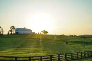 Lexington, Kentucky