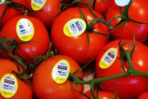 which foods are worth organic? credit: Rusty Clark ~ 100K Photos, FlickrCC
