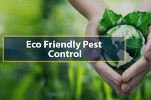 eco-pest