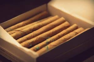 Credit: Lauren Paulsen, FlickrCC