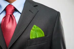 sustainable business model