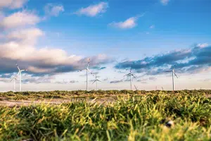wind farm
