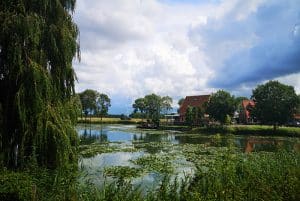 Credit: crash71100, FlickrCC