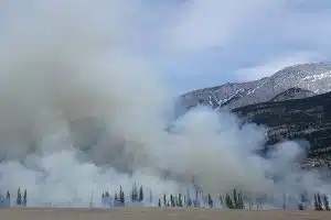 wildfire