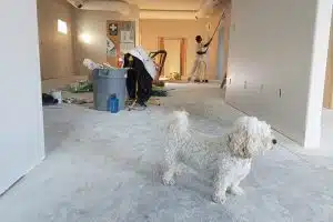 pexels-cal-david-735319