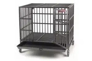 ProSelect-Empire-1024x1024