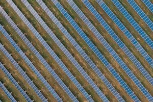 pexels kelly l 6572421