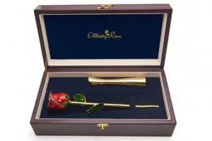 red-closed-bud-_-vase-optimised