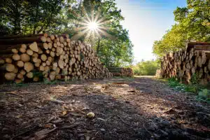 AdobeStock_230401026