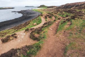 pexels-alenka-skvarc-11948516