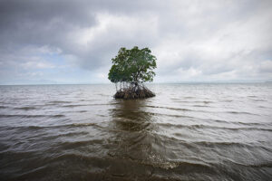 Climate change / sea-level rise in Fiji