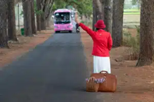 bus