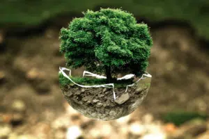 image001