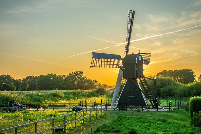 pexels stoolz 2786784