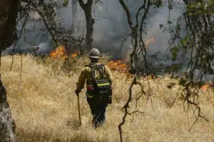 wildfire