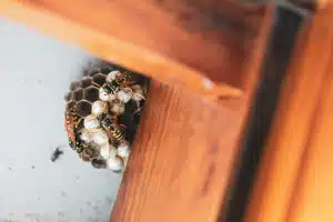 ante-hamersmit-Ru3IMko0KNg-unsplash