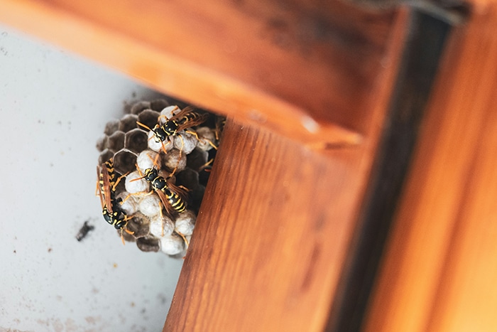 ante-hamersmit-Ru3IMko0KNg-unsplash