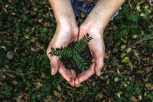 photo-1542601906990-b4d3fb778b09