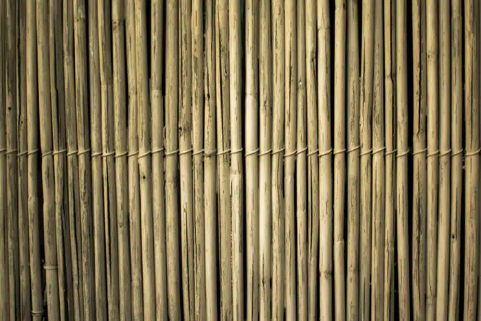 Bullish on Bamboo; bamboo for building; Fast Growing Hardwood Alternative Wows Green Builders