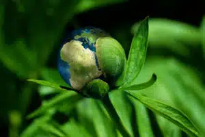 ecology-6513805_1280