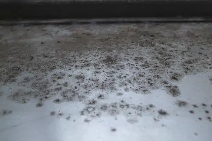 natural remedies to get rid of mold