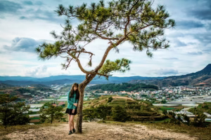 healthtrees healthtrees