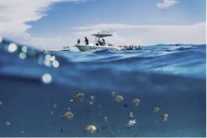 Clear blue water with swimming fish and a boat above the surface.