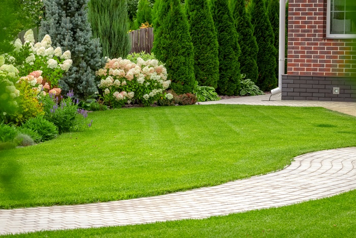 The corner of a home next to a large space covered in green grass, with a concrete path, small trees, and a fence.