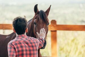 A man standing beside a dark bay horse in a pasture outdoors, touching its on its snout with one hand.