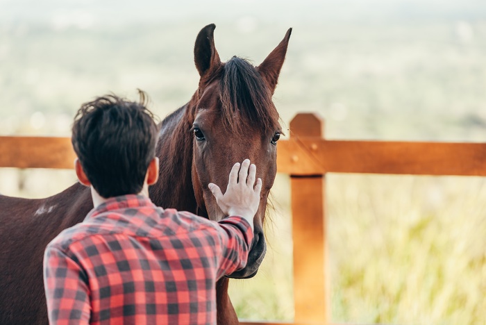 A man standing beside a dark bay horse in a pasture outdoors, touching its on its snout with one hand.