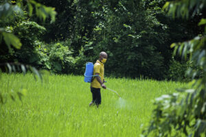 pesticides