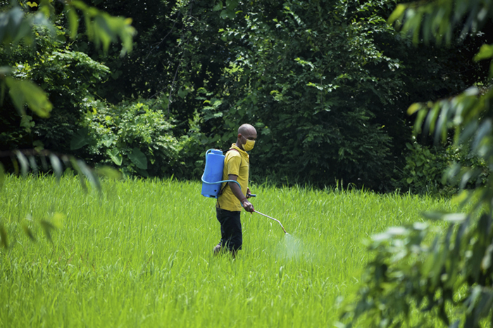 Are Pesticides Worth It? Trading Off Human Health For Less Bugs