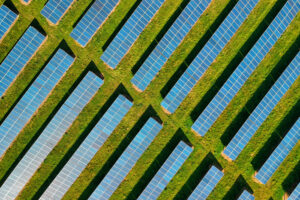 agrivoltaics