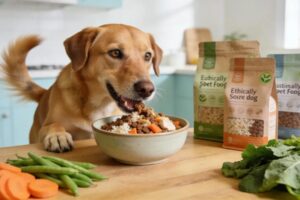 Happy dog eating ethically sourced dog food with fresh ingredients in a modern kitchen setting