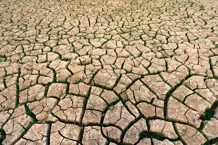 megadrought