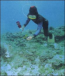 © Lynn Funkhouser / Peter Arnold, Inc.