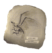 Jerry Russell Illustration Jerry Russell Illustration