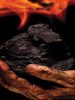 The Silent Epidemic Assesses Health Costs of Coal