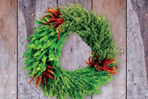 Green Gifts for Adventurers, Athletes, Animal Lovers and More!