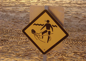 jellyfish © Thinkstock