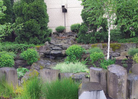 bacteria © Mara Dias/Surfrider Foundation