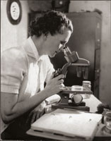 © Brooks Studio/Rachel Carson Council