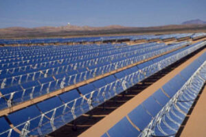 World’s Largest Solar Farm Taking Root in New Mexico Desert
