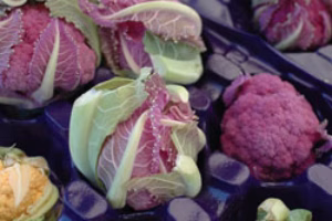 Local is the New Organic