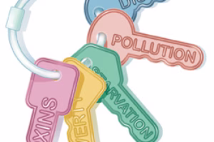 Consider the Children